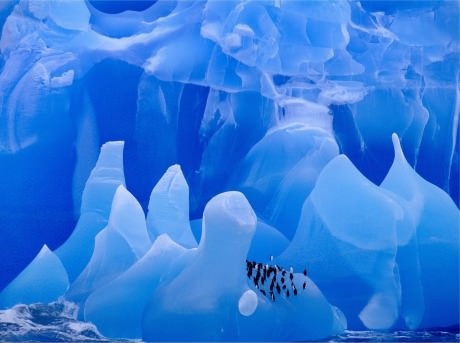 Chin-Strap Penguins on Unearthly Ice in Antarctica.