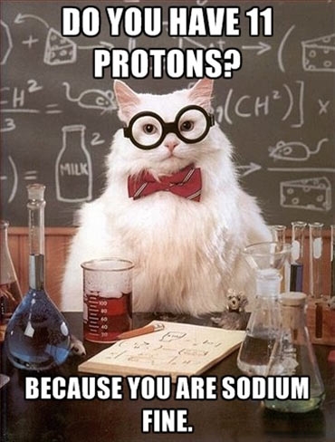 Do you have 11 protons?