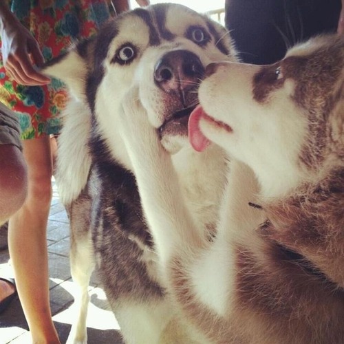 When my girlfriend kisses me in front of her parents.