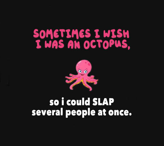 Sometimes I wish I was an octopus...