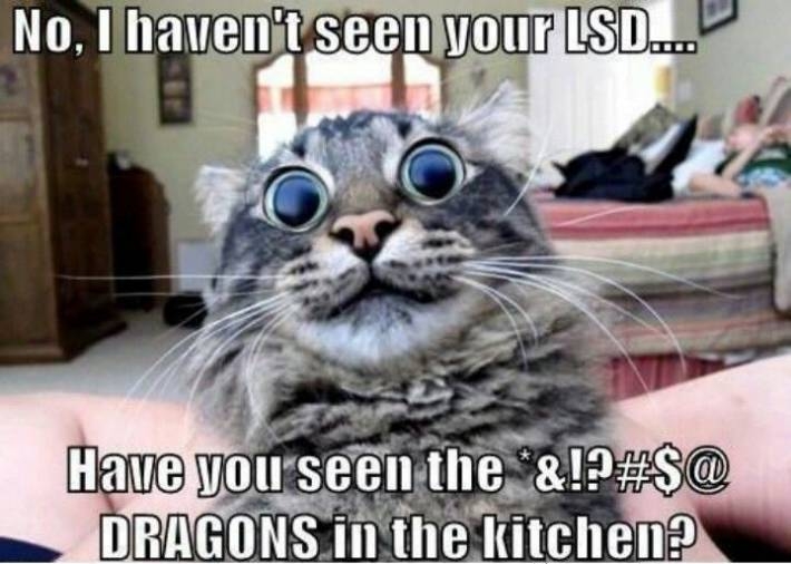 Have you seen my LSD?