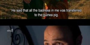 Karl Pilkington on Guinea Pigs