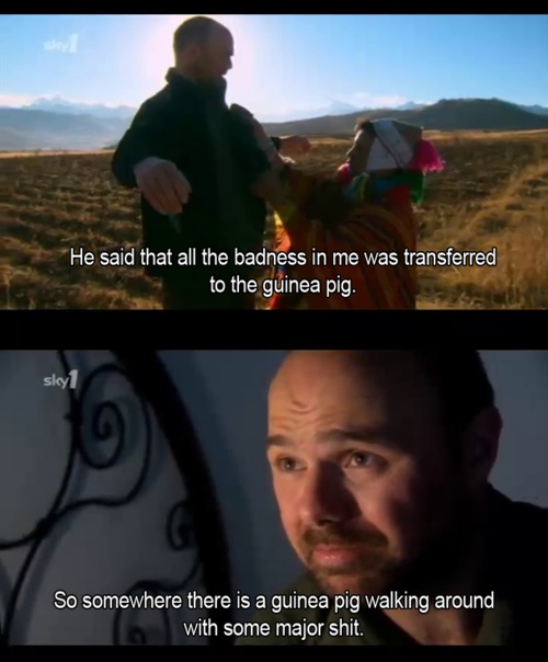 Karl Pilkington on Guinea Pigs