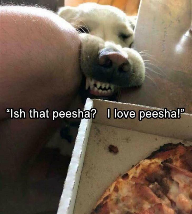 'Ish that peesha? I love peesha!'