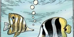 The problem of being a fish in comics.