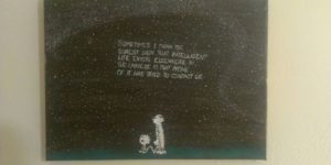 A quote from Calvin and Hobbes.