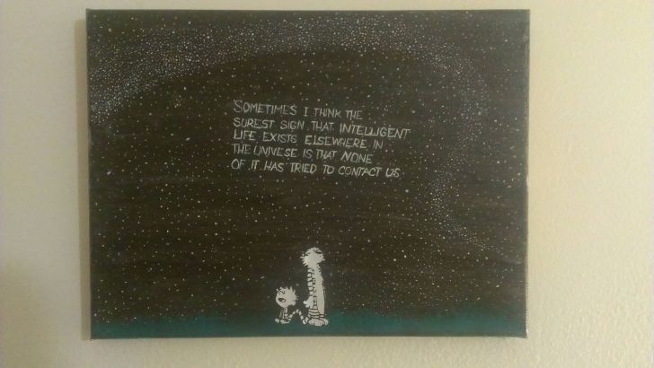 A quote from Calvin and Hobbes.