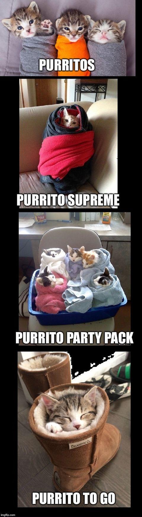 The purrito.