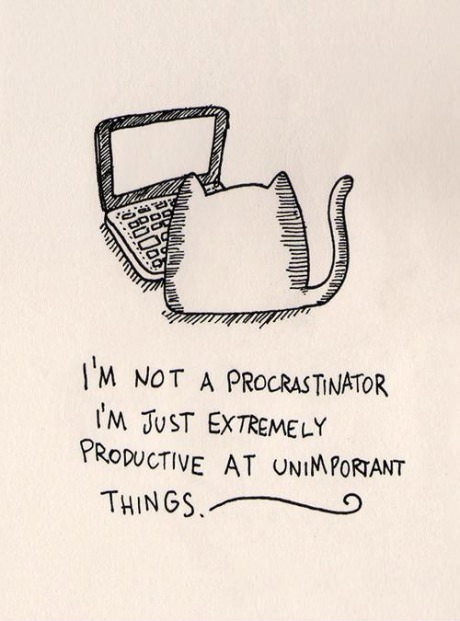 I would never procrastinate!