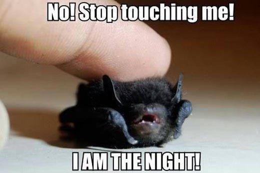Stop touching me!