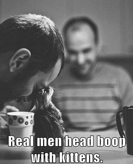 Real men head boop with kittens.