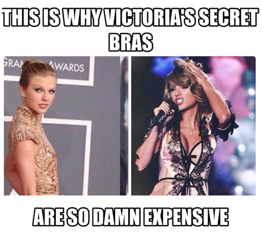 Why Victoria's Secret bras are so expensive