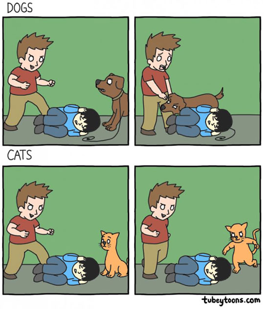 Dogs vs. Cats