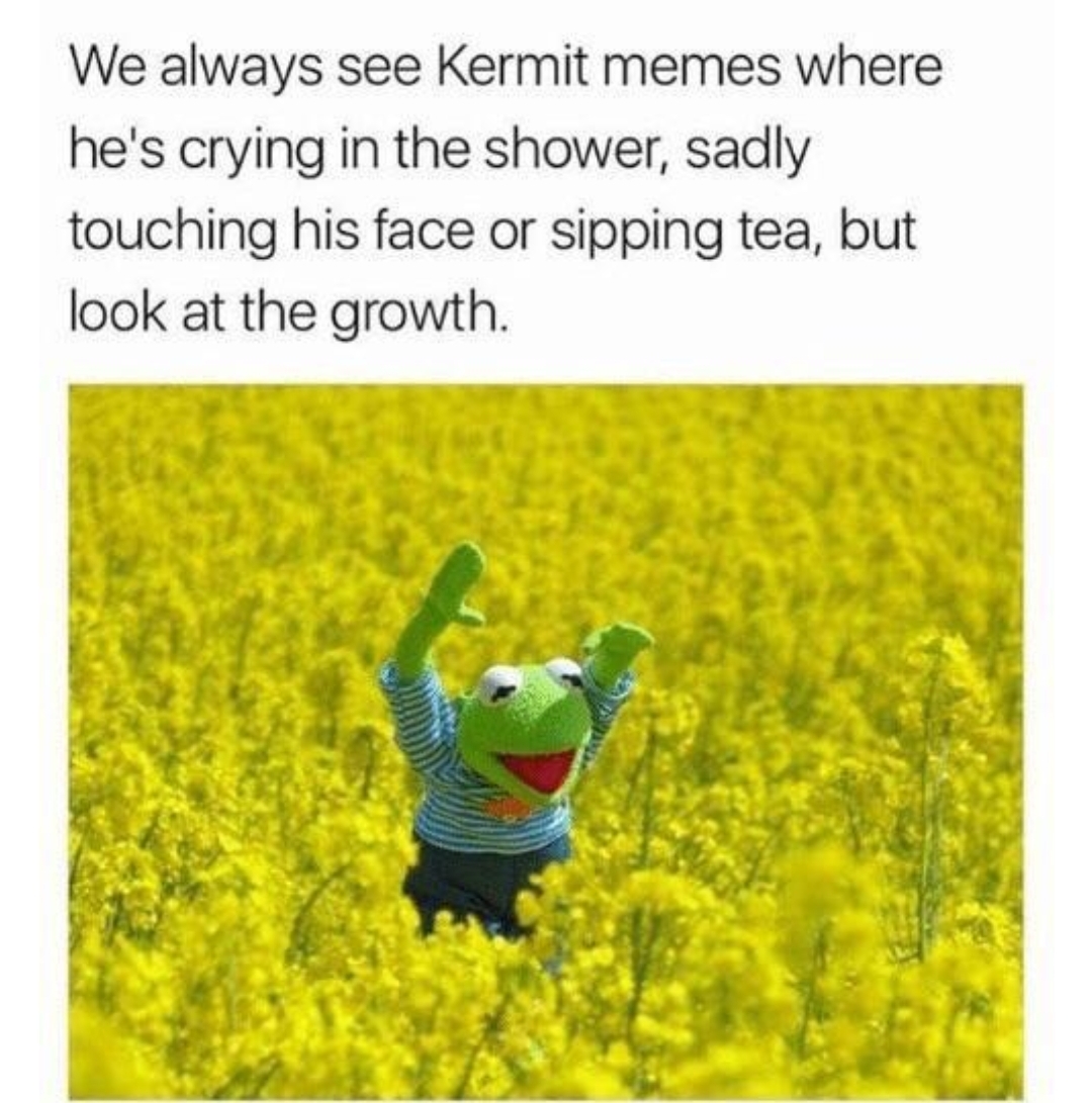 2020 has been good to Kermie. 