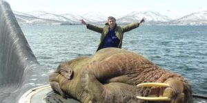 A walrus sleeping on a Russian submarine