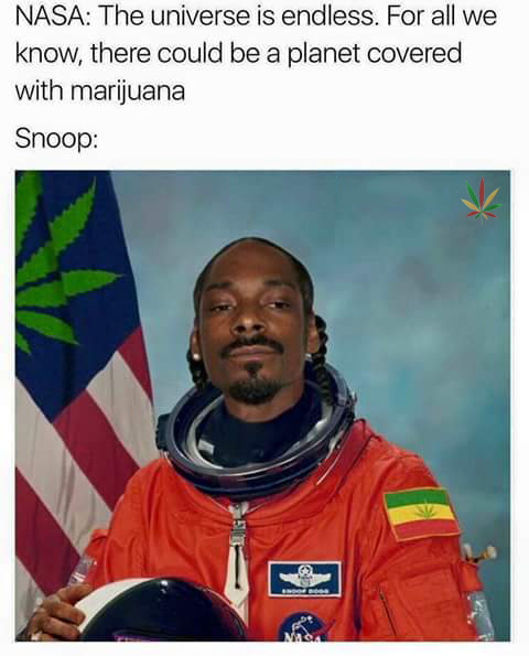 Snoop goes to space for some of that sticky icky icky