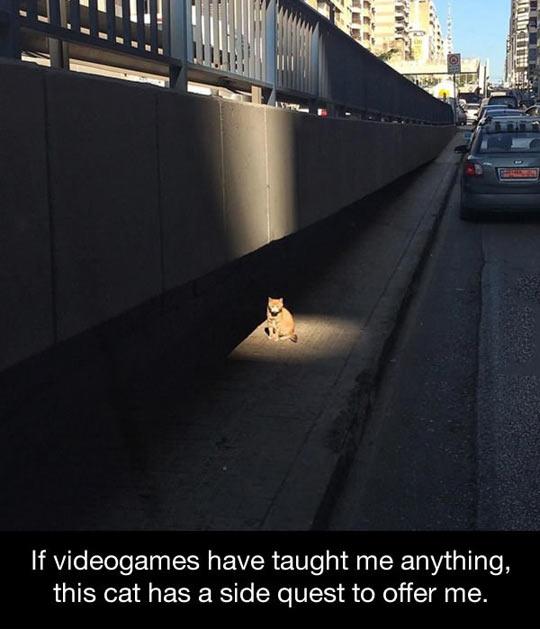 I've played enough video games...
