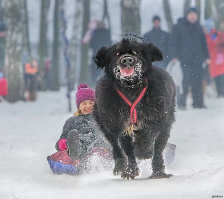 These two look like they are having fun