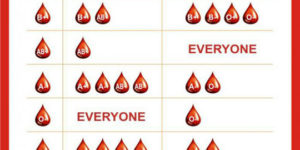 Understanding blood type.