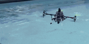 Amphibious drones