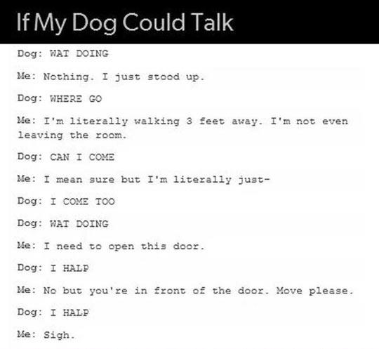 If my dog could talk