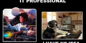 The two states of an IT professional