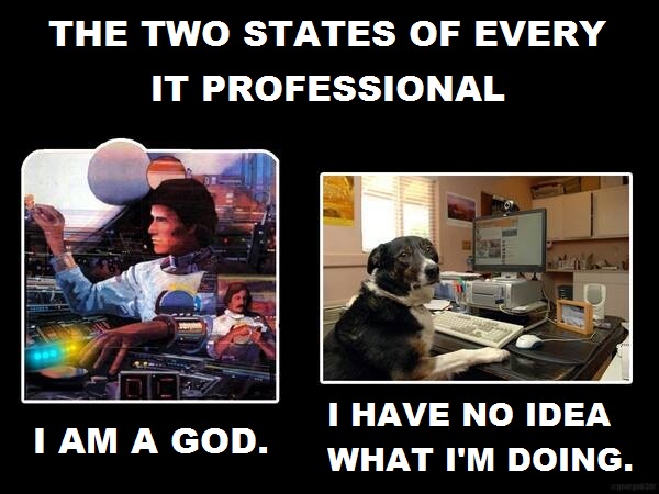 The two states of an IT professional