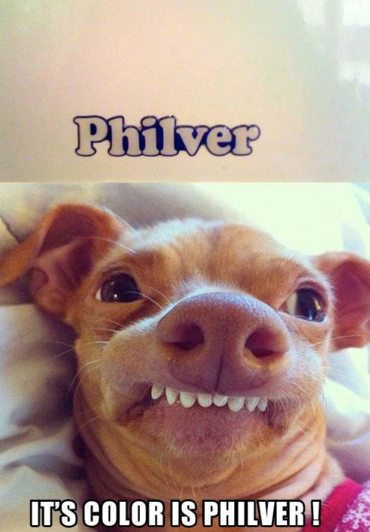 It's philver!