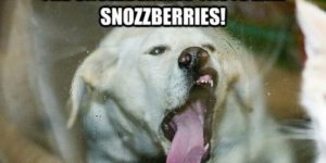 The+snozzberries+taste+like+snozzberries%21