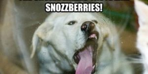 The snozzberries taste like snozzberries!