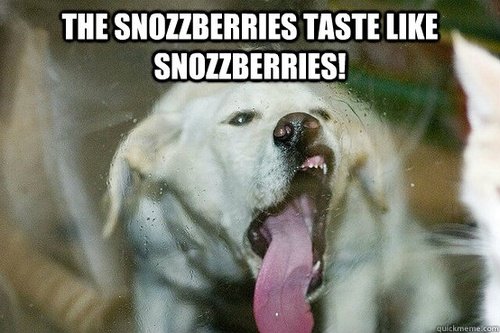 The snozzberries taste like snozzberries!