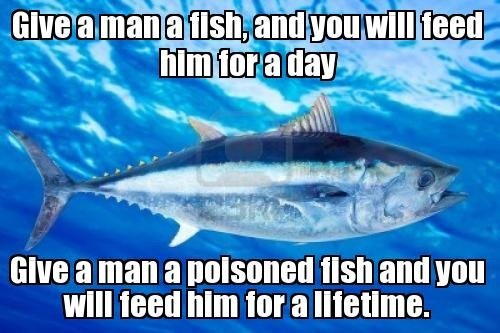 Give a man a fish