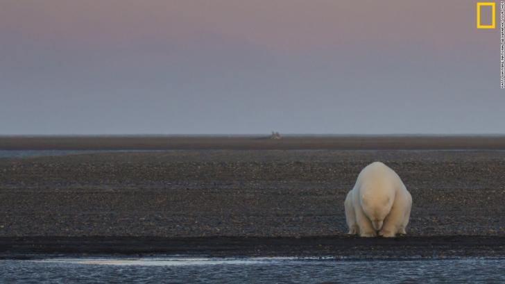 Whether you believe in it or not, climate change will continue to happen