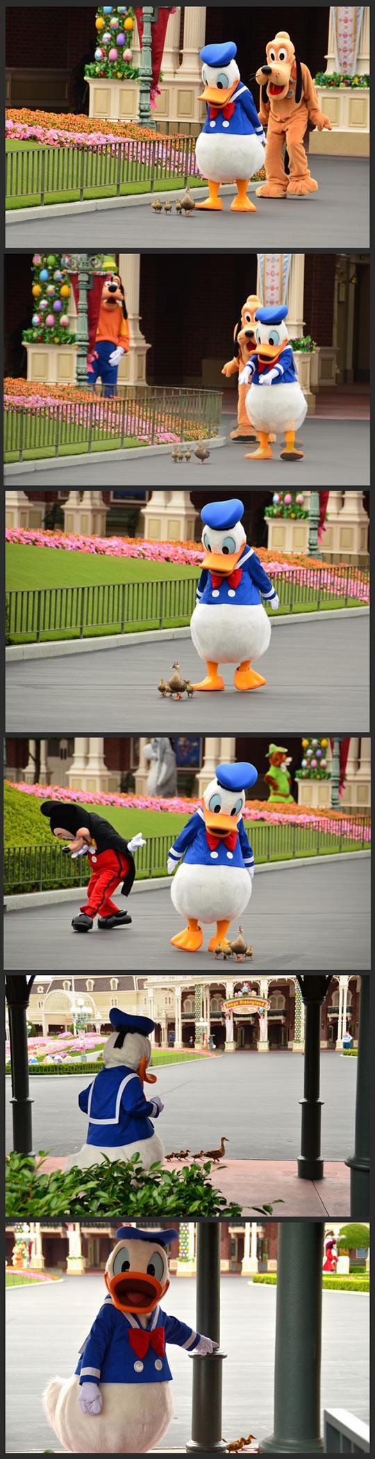 Donald was so pleased