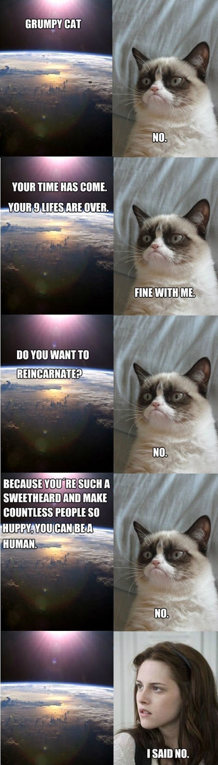 Grumpy Cat reincarnated.