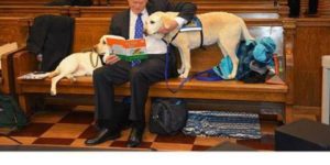 These Courthouse Dogs Are Trained to Comfort Witnesses in Courtrooms