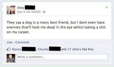 Mans best friend?