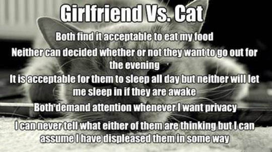 Girlfriend vs. Cat