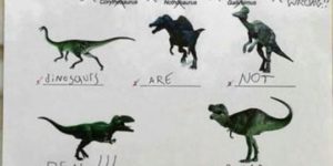 Identify the dinosaurs!