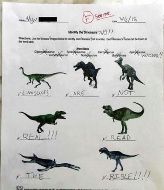 Identify the dinosaurs!