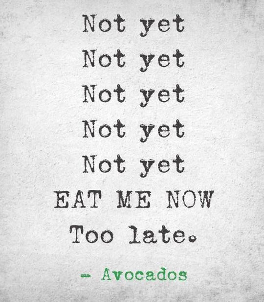 Avocados are jerks...