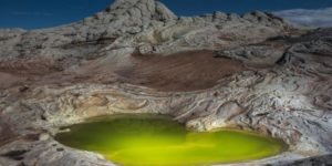 Algae filled pond in the alien landscape of White Pocket, AZ.