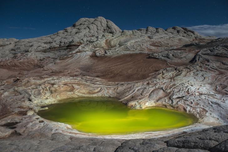 Algae filled pond in the alien landscape of White Pocket, AZ.