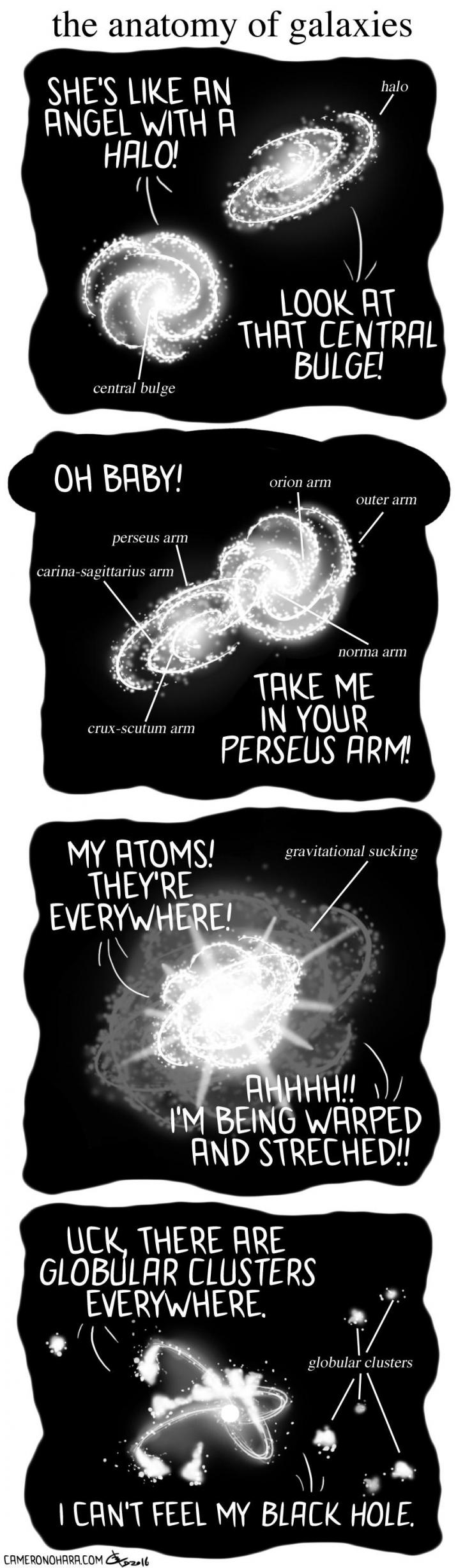 the Anatomy of Galaxies