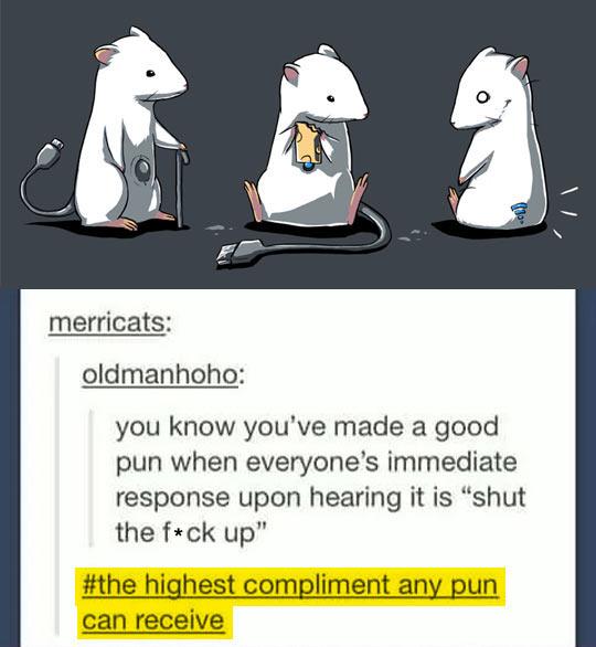 The highest compliment any pun can receive.