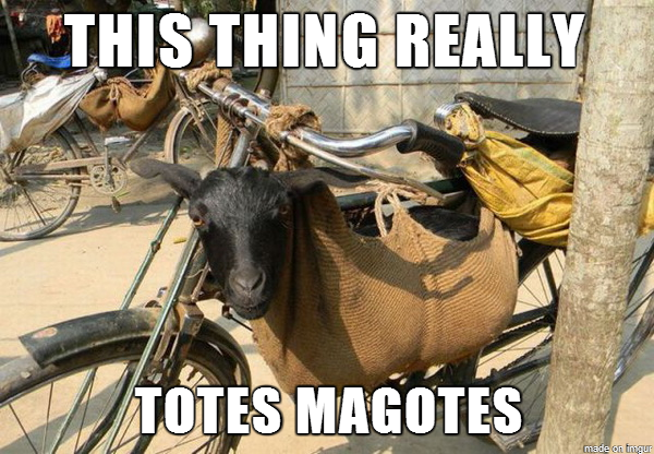 totes magotes...