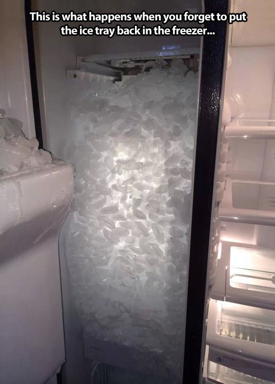 Don't Forget To Put The Ice Tray Back In The Freezer