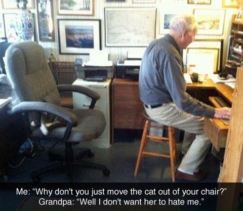 Just move the cat
