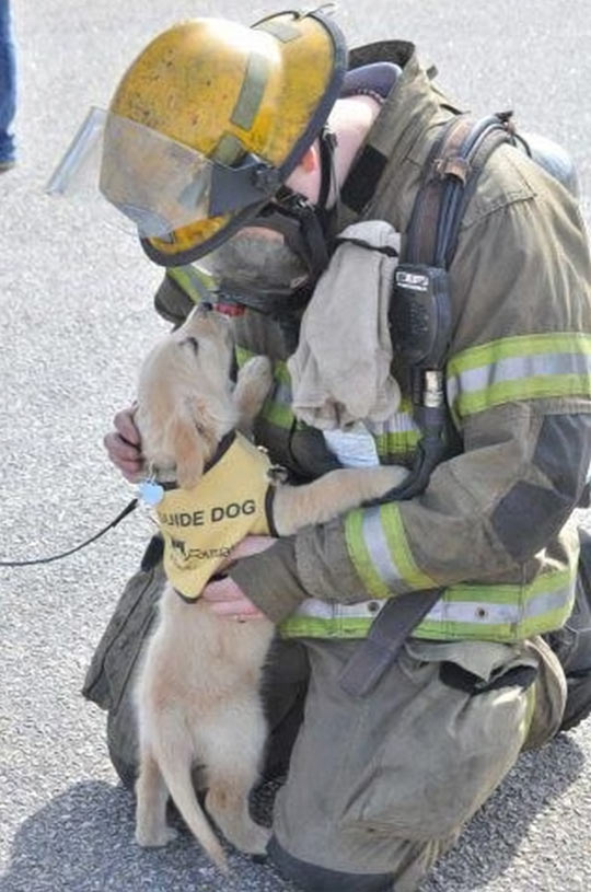 When A Service Puppy Meets A Firefighter