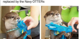 That’s otter-ly insane